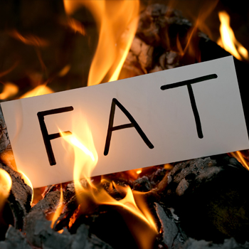 How does the body Burn Fat?