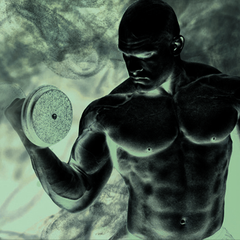The Science Behind Building Muscle Mass
