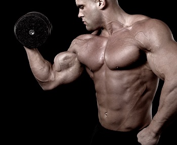 What is the Best Body Building Diet?